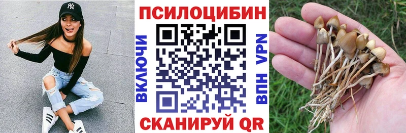 Галлюциногенные грибы MAGIC MUSHROOMS  Томск 