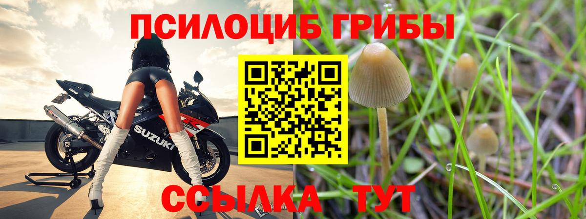 Галлюциногенные грибы прущие грибы Томск
