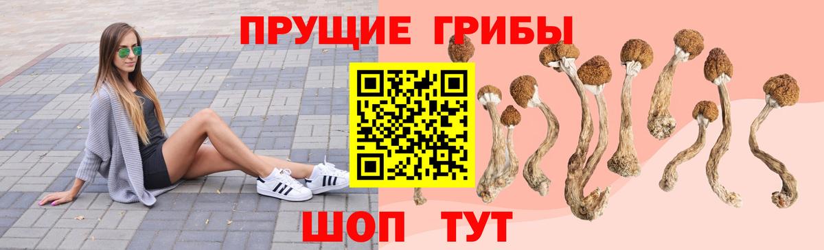 Псилоцибиновые грибы ЛСД  Вход с VPN  Томск 