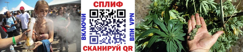 Шишки марихуана план  Томск 
